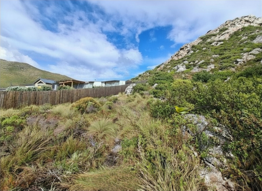 0 Bedroom Property for Sale in Pringle Bay Western Cape